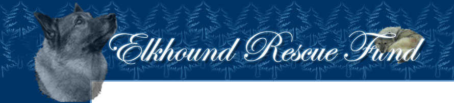 Elkhound Rescue Fund